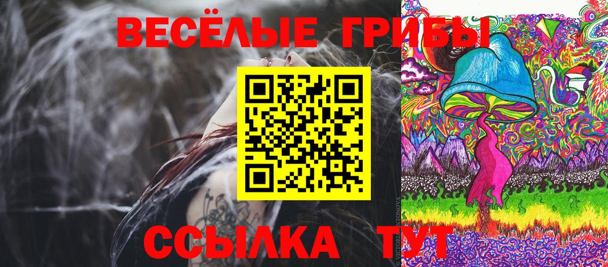 Фролово  Галлюциногенные грибы мухоморы  Вход с VPN 